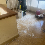 zimbabwe office cleaner